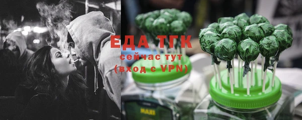 индика Осташков