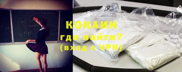 индика Осташков
