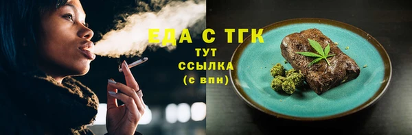 индика Осташков