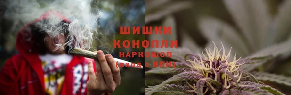 индика Осташков