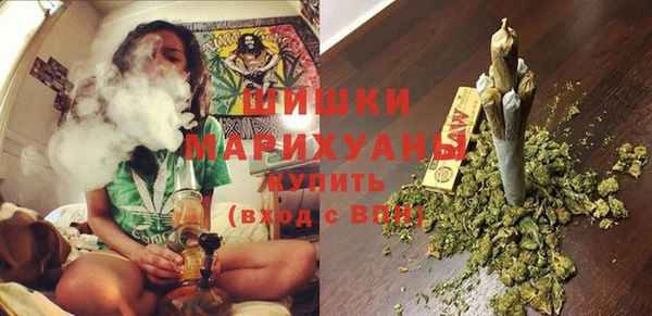 индика Осташков
