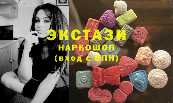индика Осташков