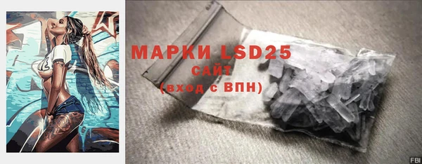 индика Осташков