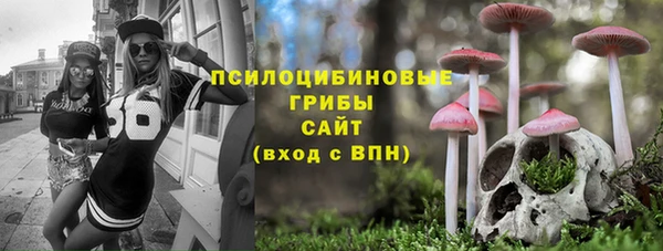 соль курить ск Нязепетровск