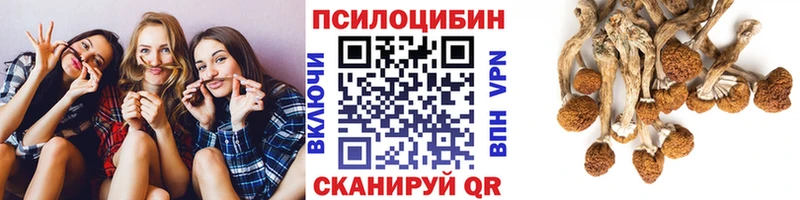 Псилоцибиновые грибы Magic Shrooms Красный Сулин