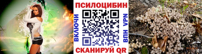 ОМГ ОМГ онион Красный Сулин Псилоцибиновые грибы Magic Shrooms