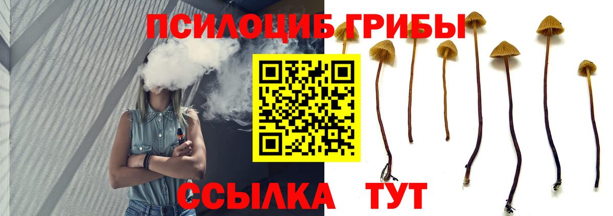 Псилоцибиновые грибы ЛСД Красный Сулин