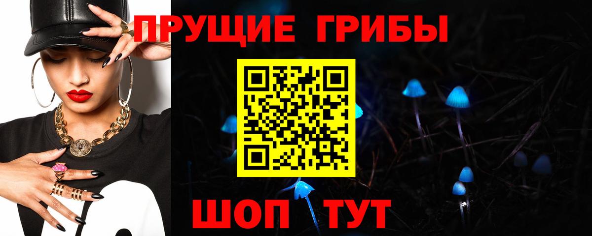 Псилоцибиновые грибы мицелий Красный Сулин