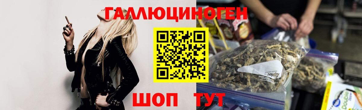 Красный Сулин  Галлюциногенные грибы Psilocybe  Вход с VPN 